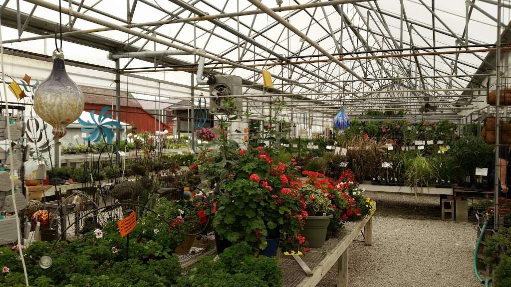 Graber Greenhouse | 30707 MO-6, Jamesport, MO 64648, USA | Phone: (660) 684-6518