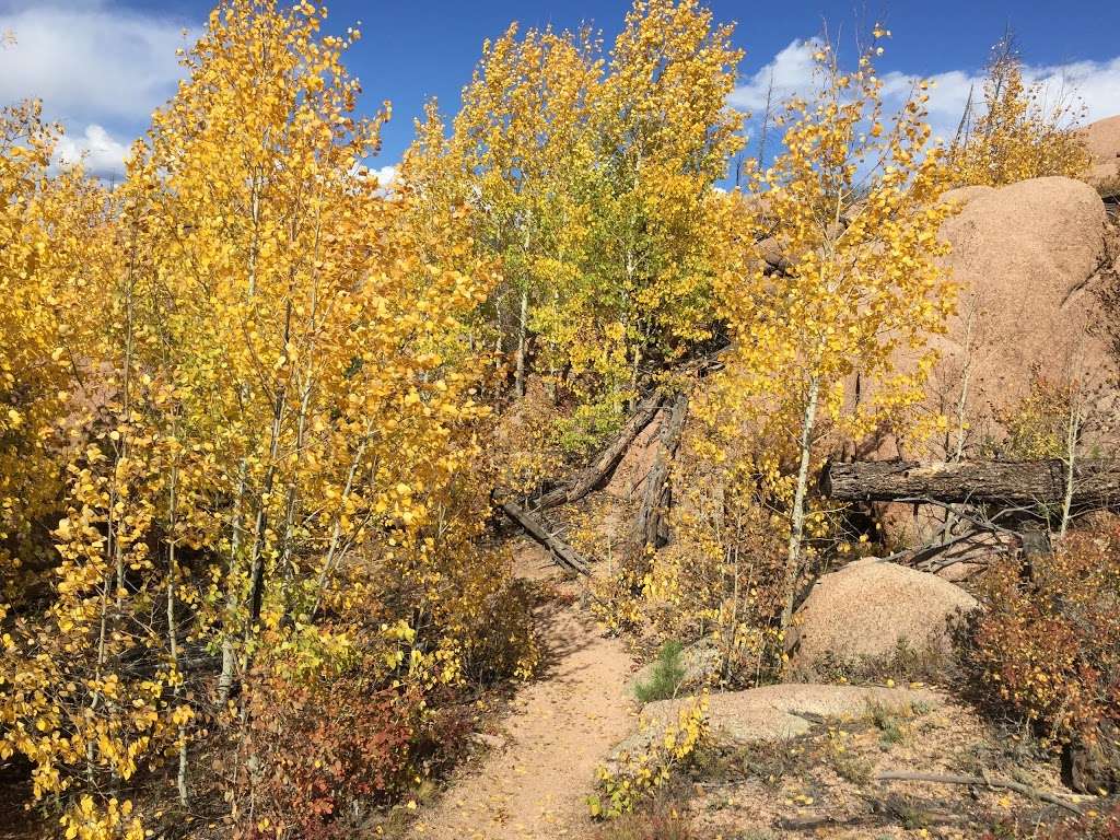 Buffalo Creek Mountain Bike Parking | 18264-, 18268 S Buffalo Creek Rd, Pine, CO 80470, USA