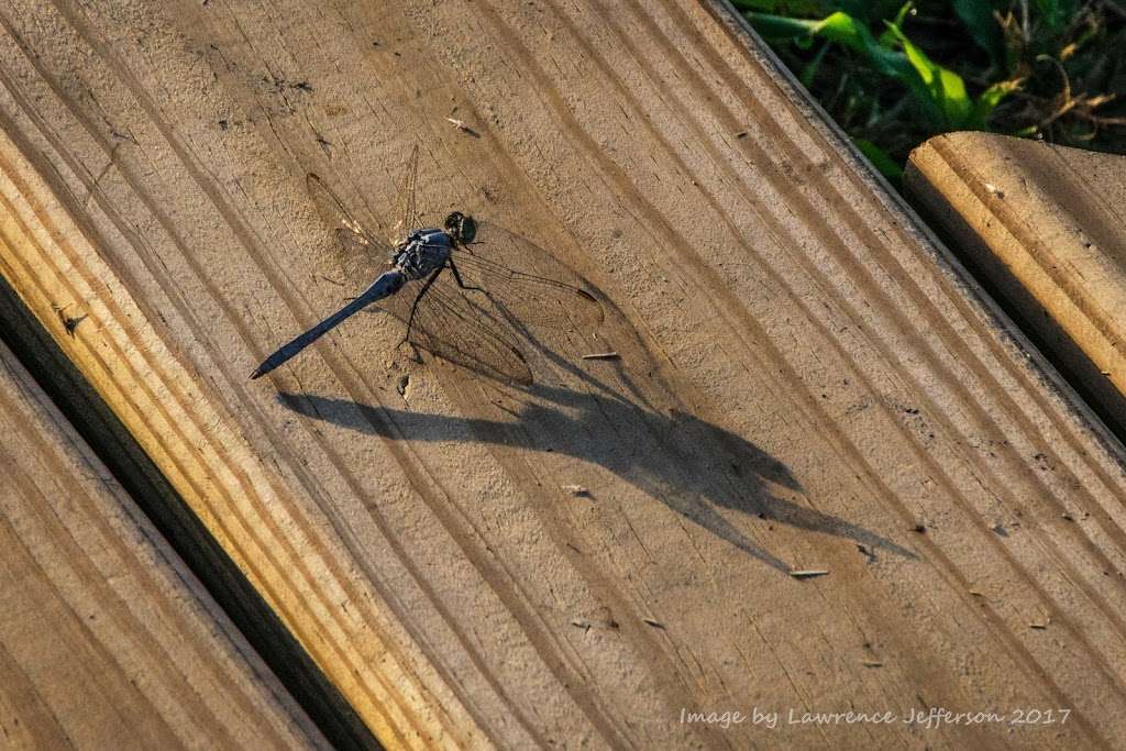 Shadow Creek Ranch Nature Trail | 1801 Kingsley Dr, Pearland, TX 77584 | Phone: (281) 412-8900