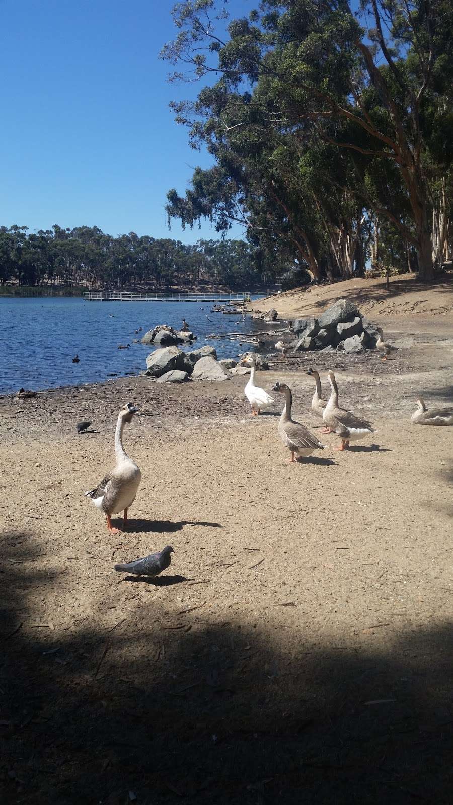 Joe Bain Youth Fishing Pier | Chollas Reservoir, San Diego, CA 92115, USA