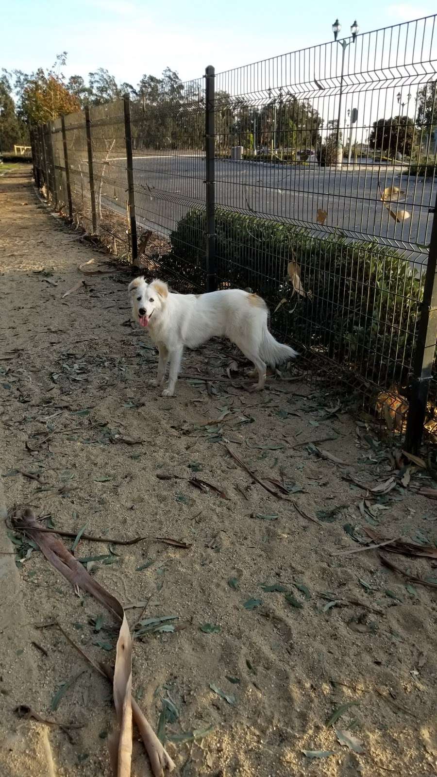 College Dog Park | 3200 S Rose Ave, Oxnard, CA 93033, USA