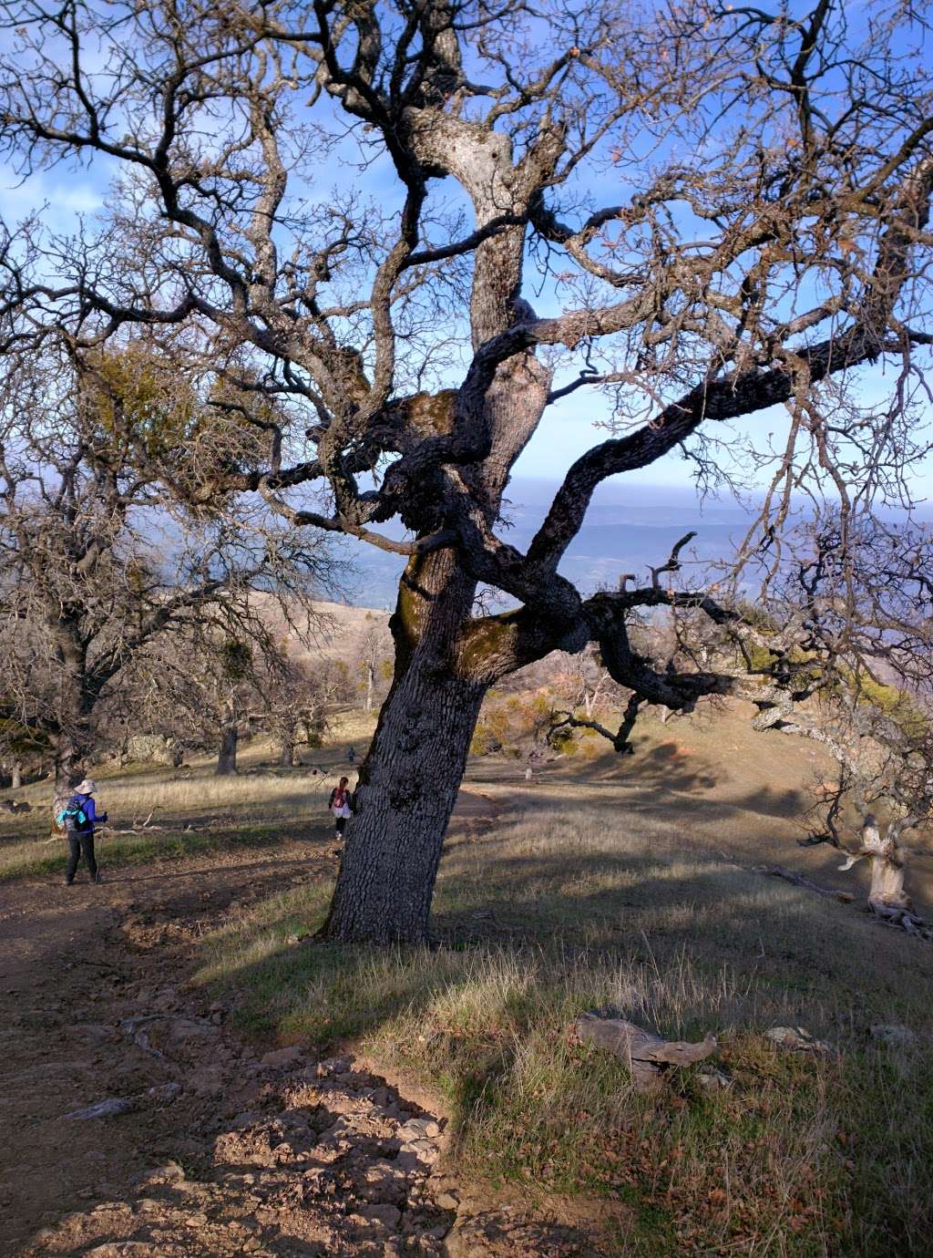 Ohlone Regional Wilderness | Sunol, CA 94586, USA | Phone: (888) 327-2757