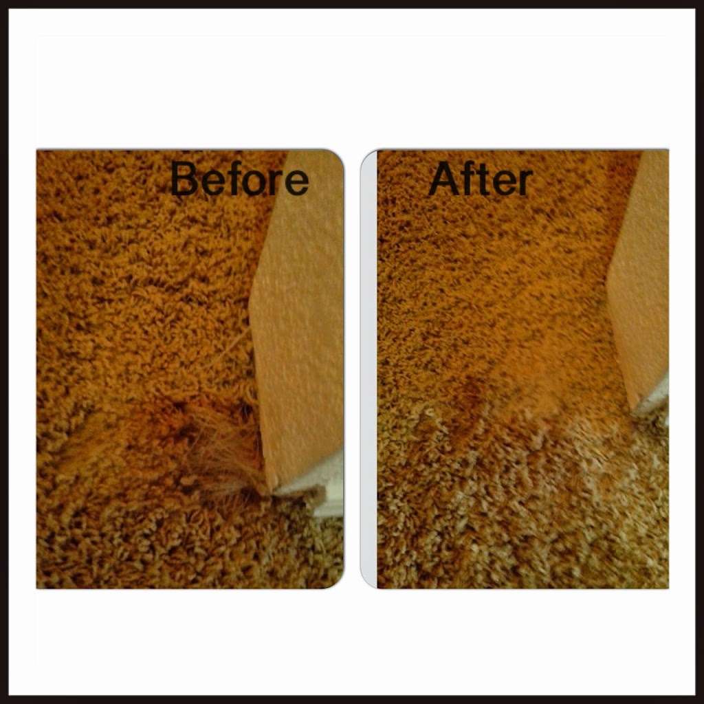 MM carpet cleaning | 5732 S Farmer Ave, Tempe, AZ 85283, USA