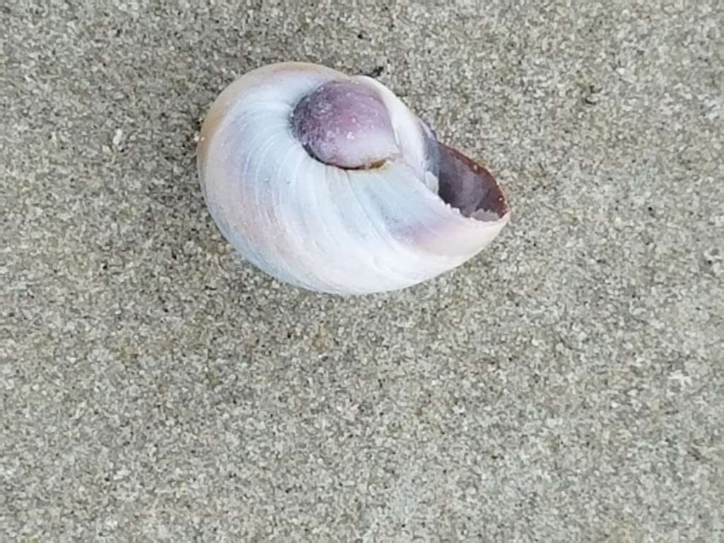 Island Beach State Park Inlet | N Atlantic Ave, Beach Haven, NJ 08008, USA