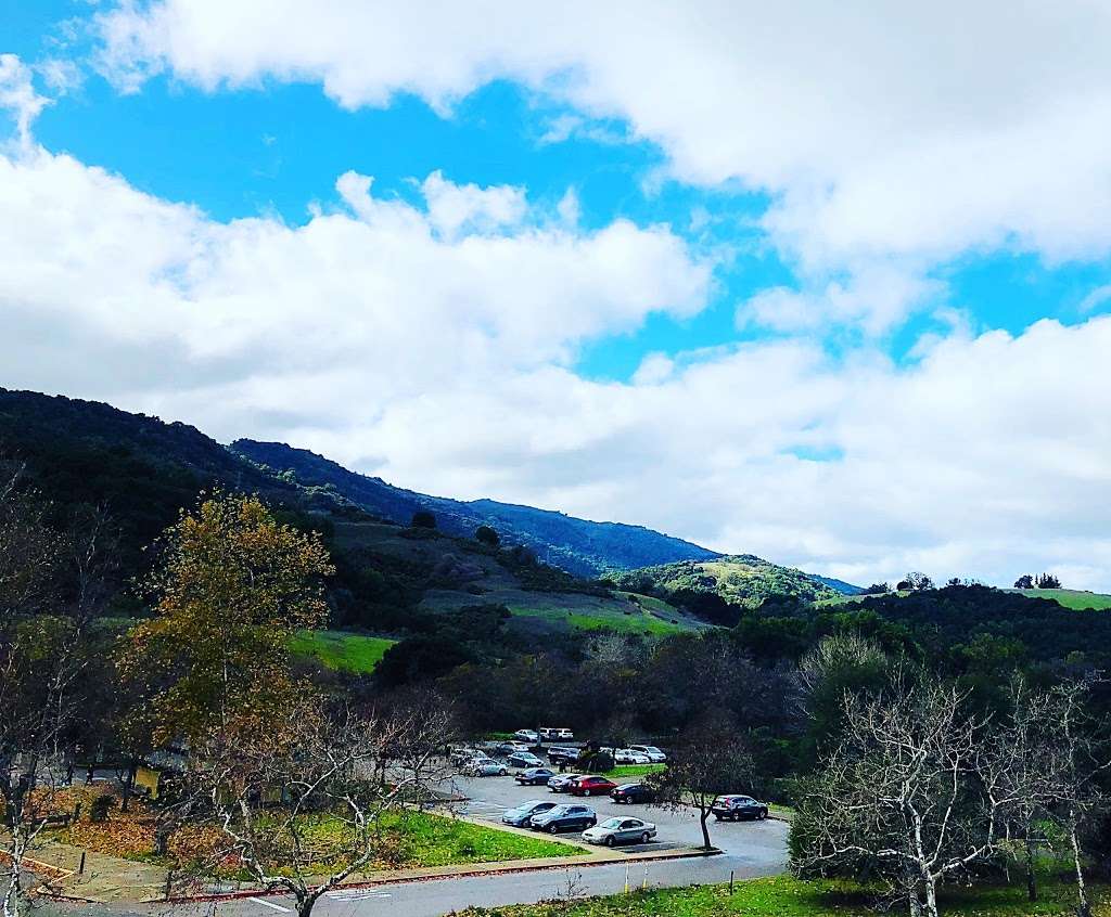 Best Self Walking Therapy | 22500 Cristo Rey Dr, Los Altos, CA 94024, USA | Phone: (408) 813-5324