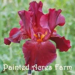 Painted Acres Farm | 1711 SE State Hwy Ee, Weatherby, MO 64497, USA | Phone: (816) 449-2975