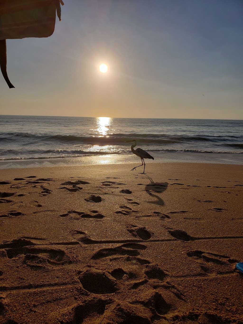 Canaveral National Seashore | 7611 S Atlantic Ave, New Smyrna Beach, FL 32169, USA