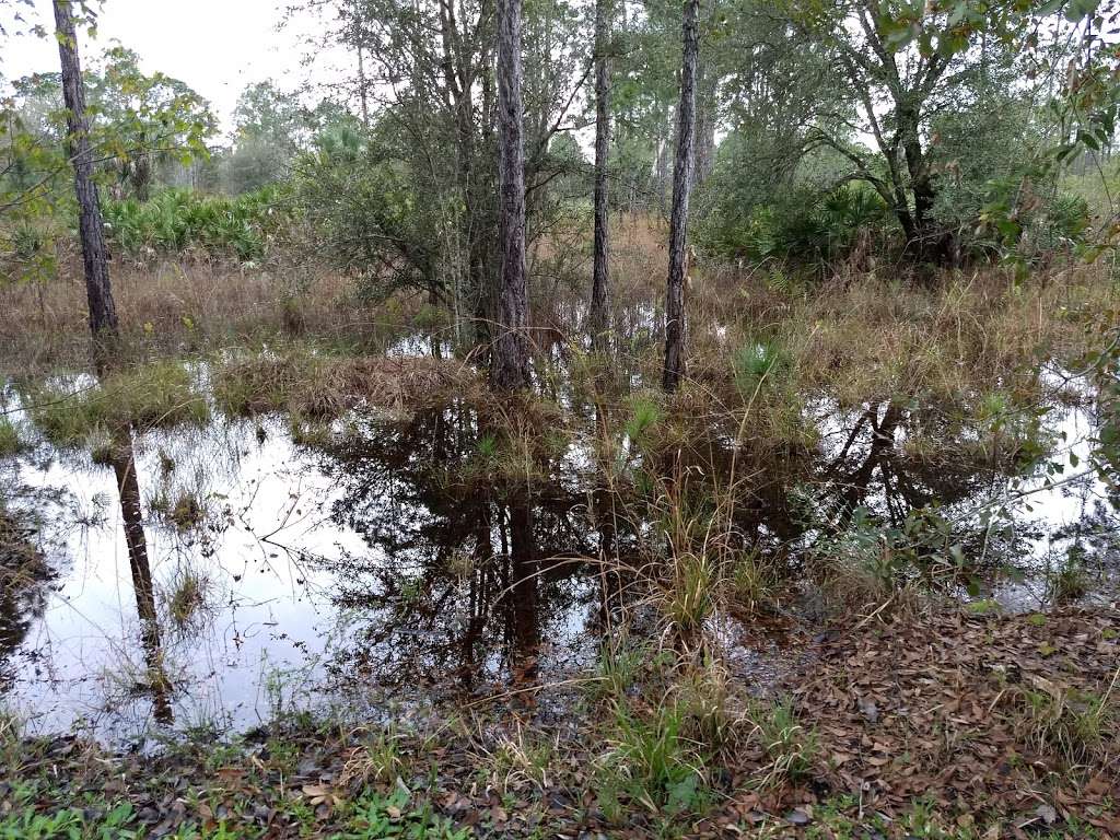 Huckleberry Island Trailhead | 2401-2455 Cypress Pkwy, Kissimmee, FL 34759, USA