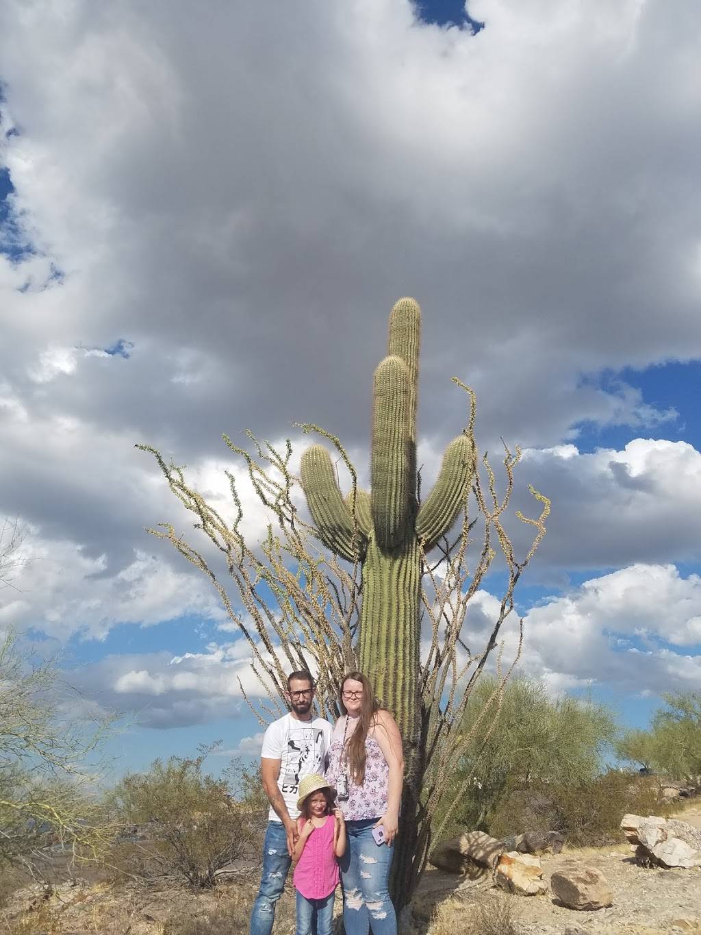 Dobbins Lookout at South Mountain | 10919 S Central Ave, Phoenix, AZ 85042 | Phone: (602) 262-6862