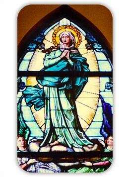 Annunciation Catholic Academy | 593 Jamestown Blvd, Altamonte Springs, FL 32714, USA | Phone: (407) 774-2801
