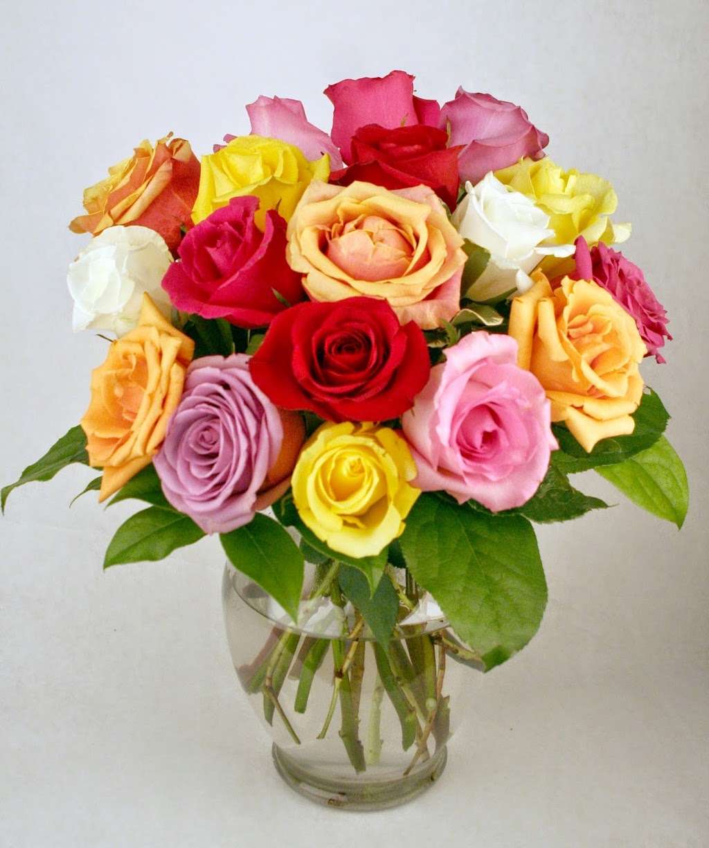 McNamara Florist | 1853 Ludlow Ave, Indianapolis, IN 46201, USA | Phone: (317) 579-7900