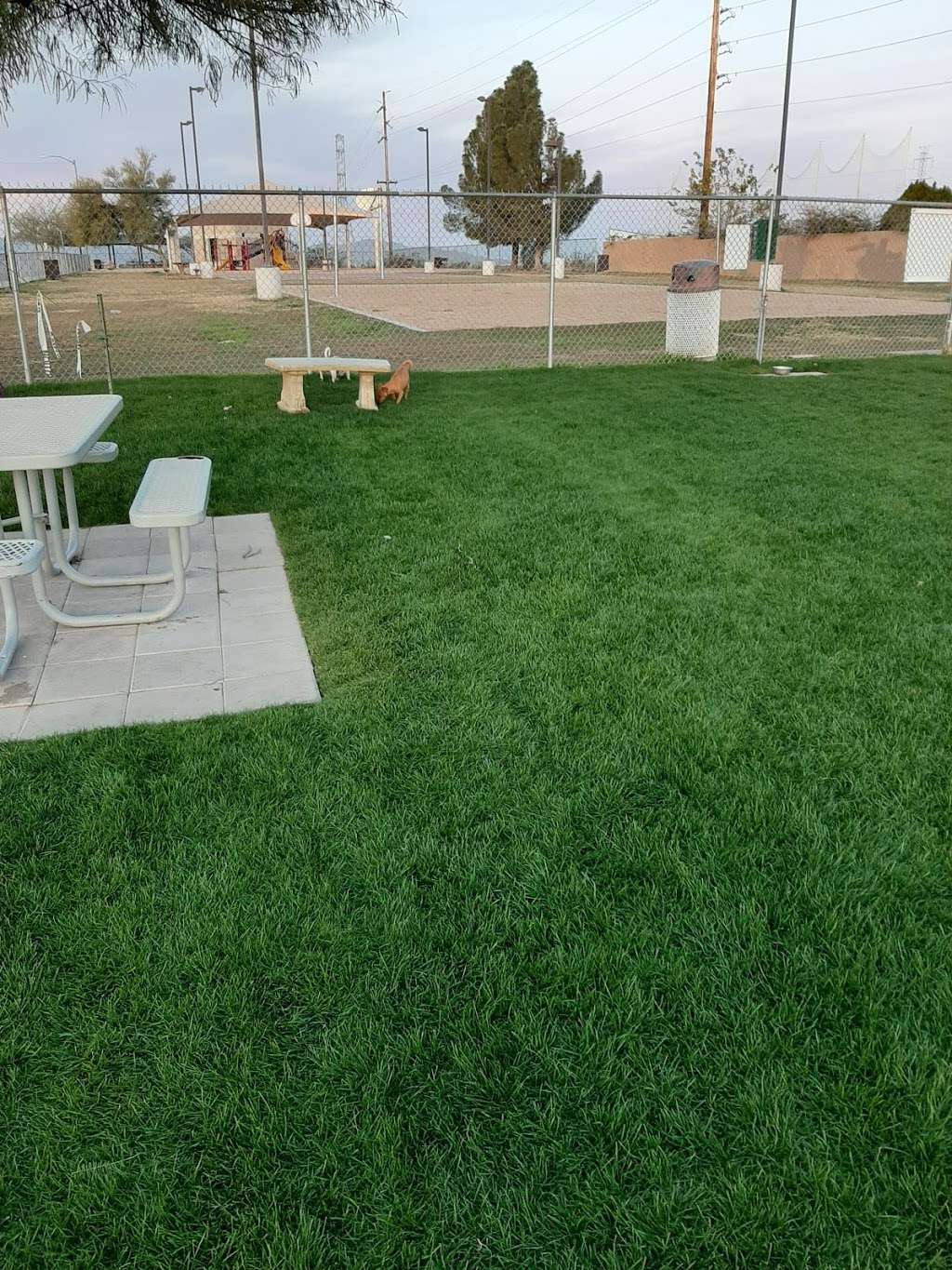 Citizens Dog Park of Youngtown | 12030 N 113th Ave, Youngtown, AZ 85363, USA