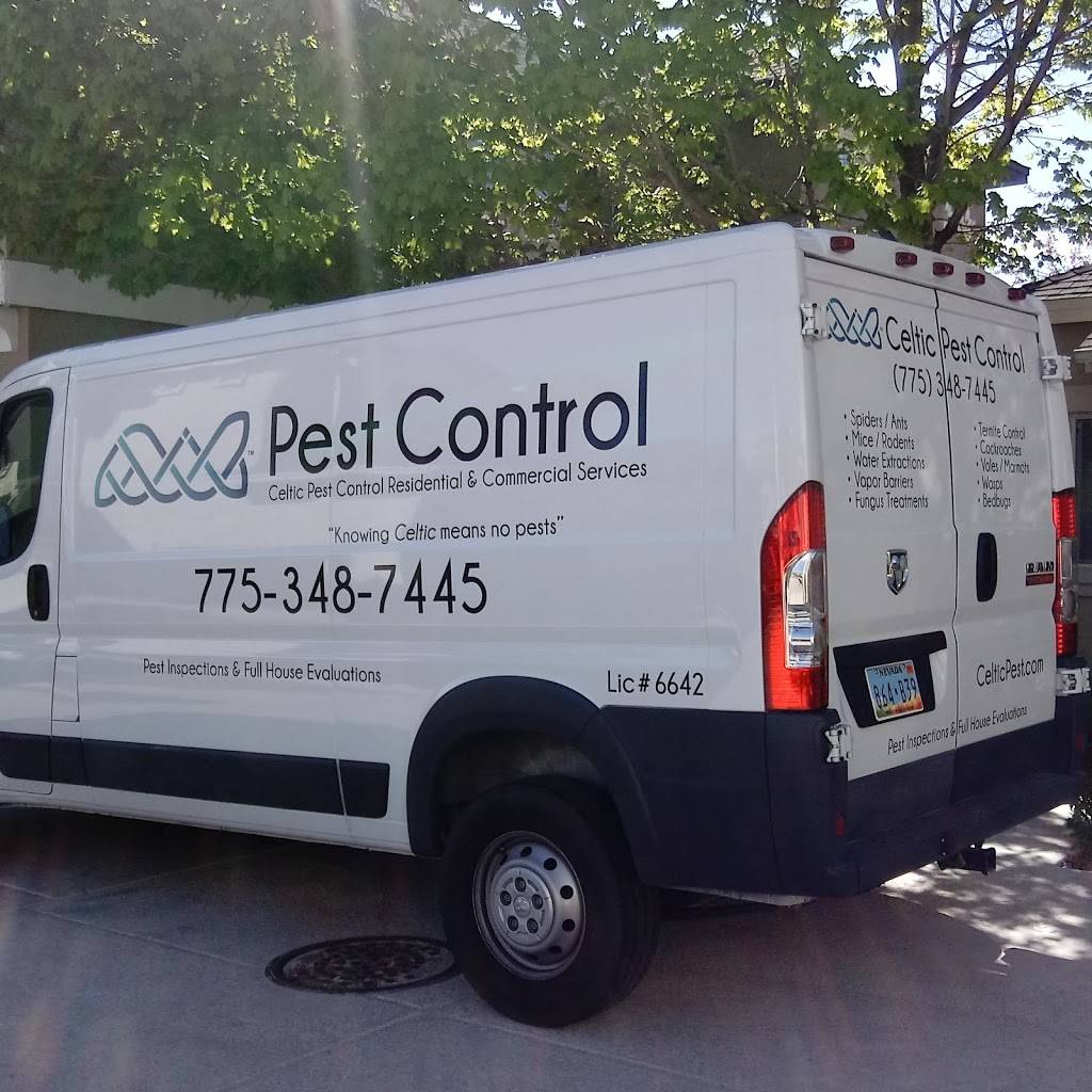 Celtic Pest Inspections and Control Services Inc. | 2900 Vassar Street, Ste CC26, Reno, NV 89502, USA | Phone: (775) 348-7445