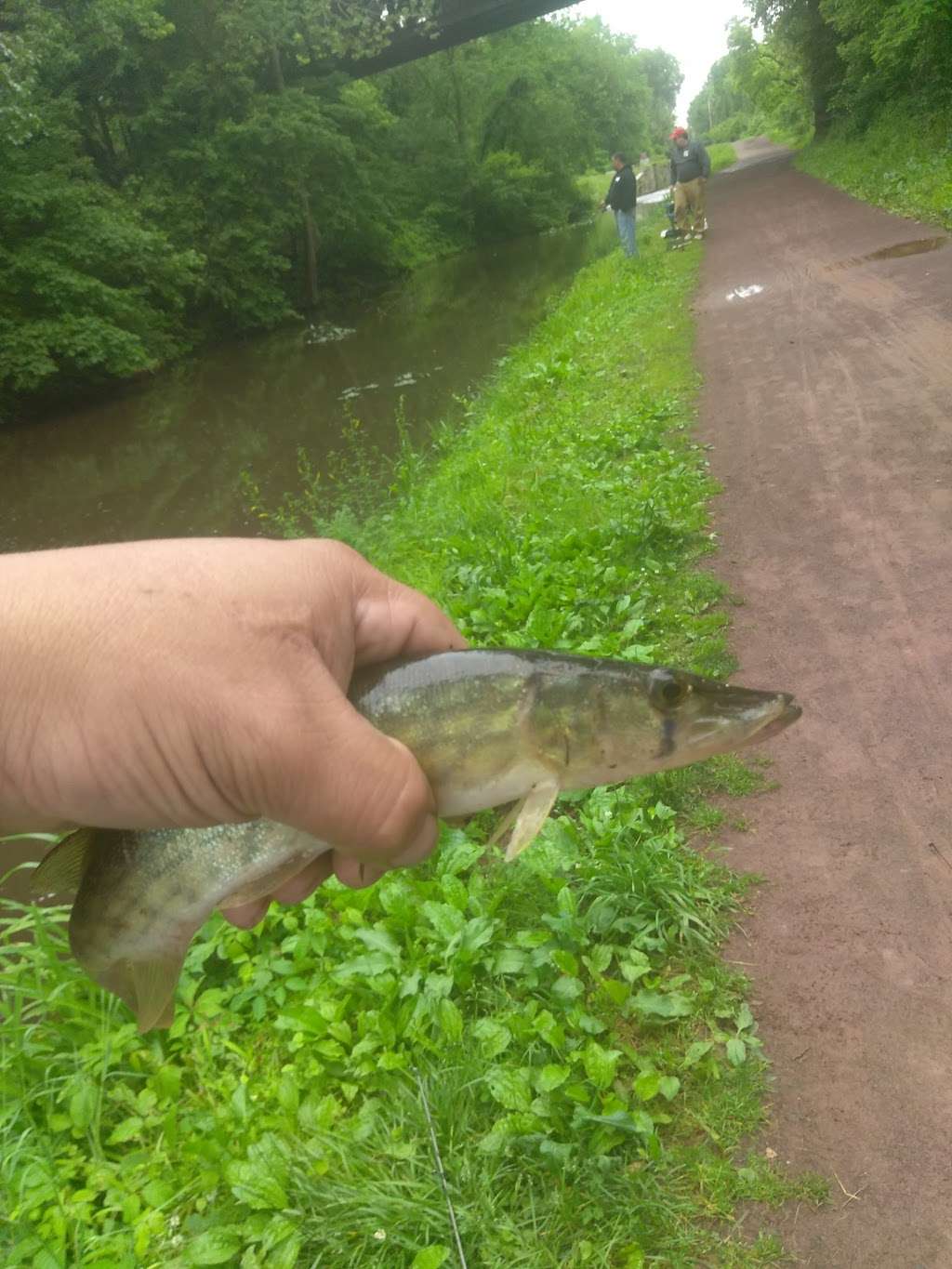 Delaware canal towpath | Yardley, PA 19067, USA