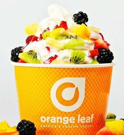 Orange Leaf Frozen Yogurt & Ice Cream | 124 Broadway, Saugus, MA 01906 | Phone: (781) 558-5644