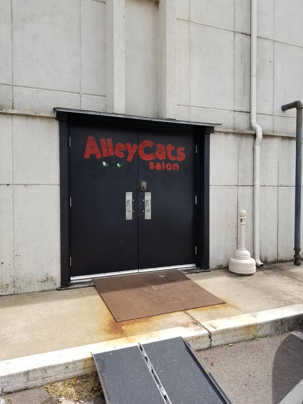 AlleyCats Salon | 3801 NW 63rd St Bldg 3, Ste 133, Oklahoma City, OK 73116, USA | Phone: (405) 607-2287