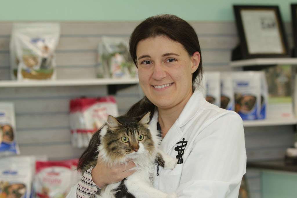 East Lake Animal Clinic | 31415 County Rd 435, Sorrento, FL 32776, USA | Phone: (352) 735-2882