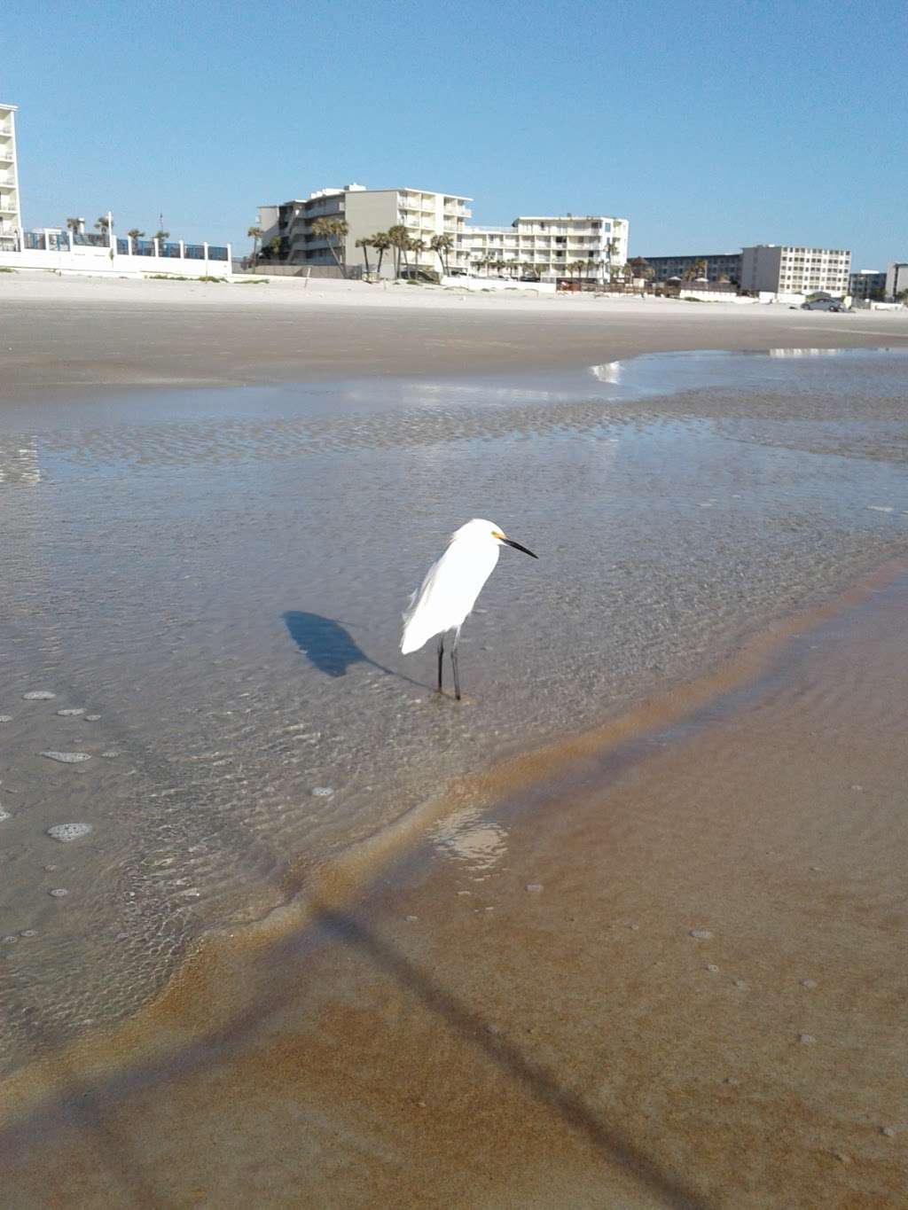 A1a & Temko Ob | Daytona Beach, FL 32118, USA