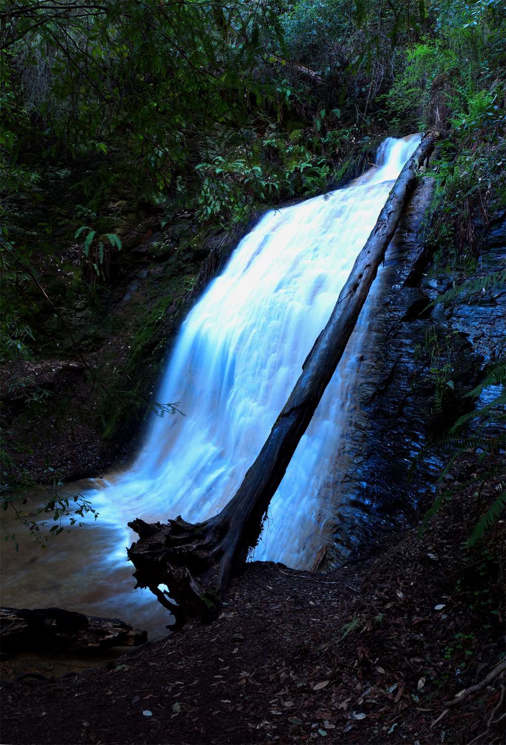 West Waddell Creek State Wilderness | Davenport, CA 95017