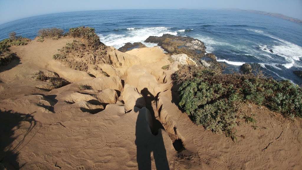 Tomales Point | Inverness, CA 94937, USA