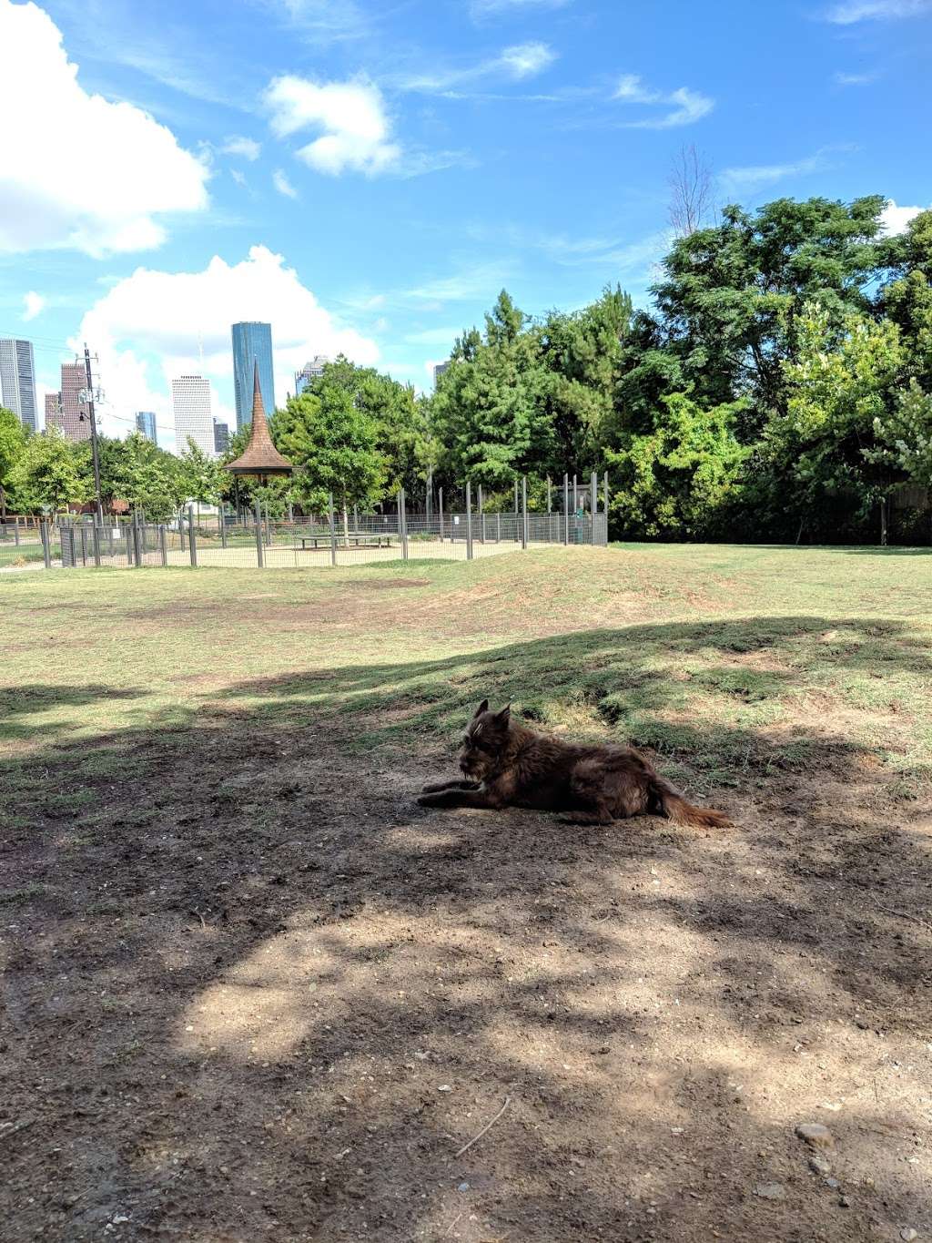 Park For Humans And Dogs | 901 Sawyer St, Houston, TX 77007, USA