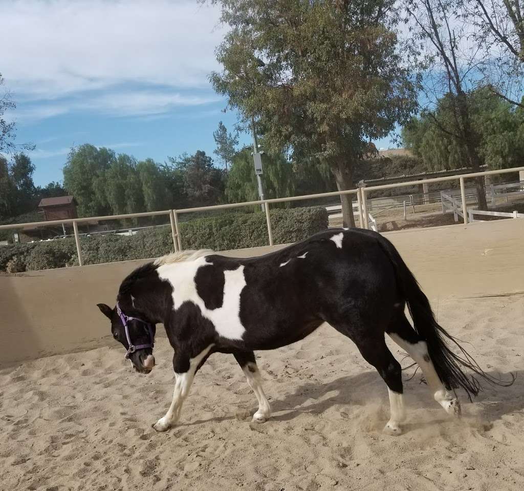 Buena Vista Equestrian Center | Yorba Linda, CA 92886, USA