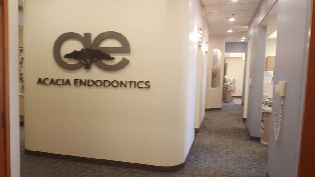 Acacia Endodontics | 1300 N McClintock Dr # B2, Chandler, AZ 85226, USA | Phone: (480) 777-9938