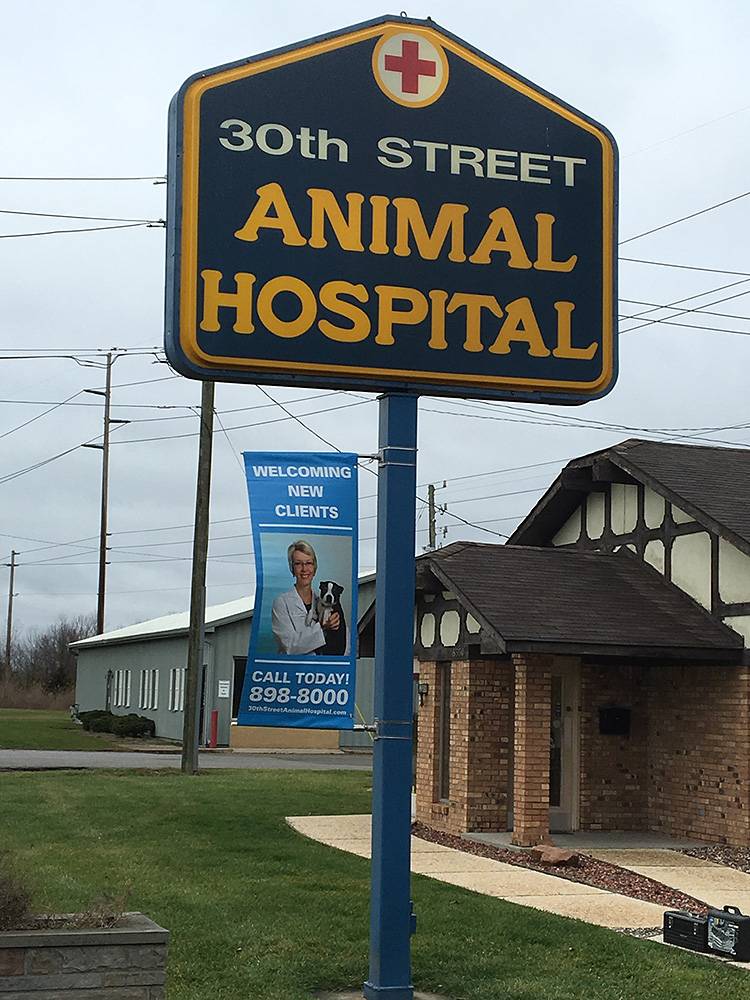 30th Street Animal Hospital | 8550 E 30th St, Indianapolis, IN 46219, USA | Phone: (317) 898-8000