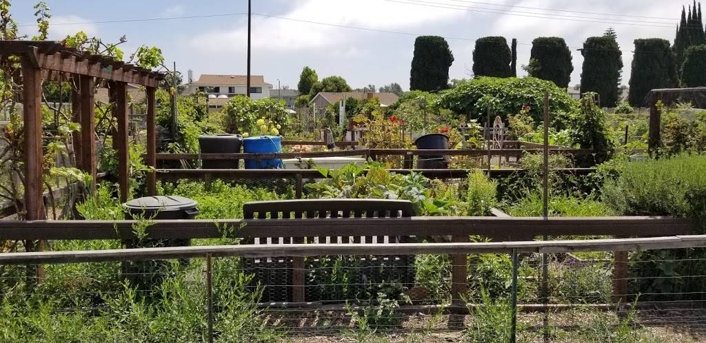 Edison Park Community Garden | 99 College Park Dr, Seal Beach, CA 90740, USA | Phone: (562) 431-2527 ext. 1306