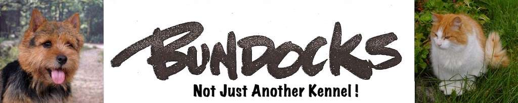 Bundocks Kennels | 2405 Coffee Ln, Sebastopol, CA 95472, USA | Phone: (707) 823-2342