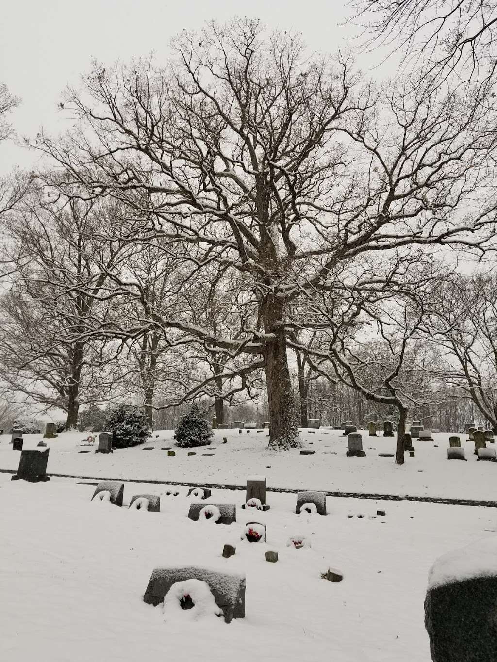 Chestnut Grove Cemetery | 831 Dranesville Rd, Herndon, VA 20170, USA | Phone: (703) 435-3480