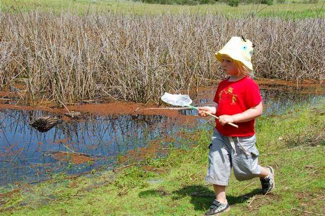 Wildflowers Nature School | 10570 Mill Station Rd, Sebastopol, CA 95472, USA | Phone: (707) 479-1052