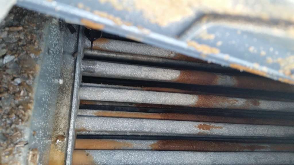 Auto Styles | 902 North Blvd E, Leesburg, FL 34748, USA | Phone: (352) 365-9939