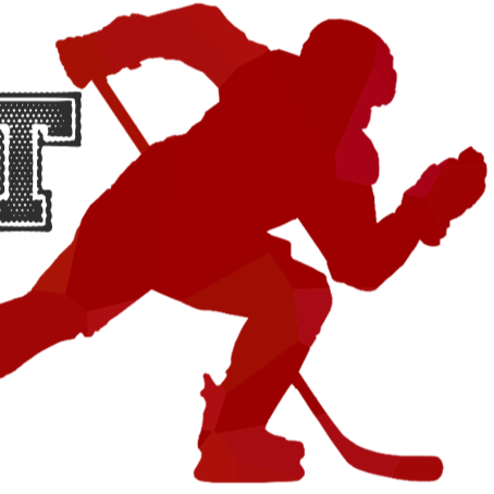 Street Hockey Gear - An Amazon Store | 7701 Bear Ridge St, Las Vegas, NV 89113, USA | Phone: (702) 606-1535
