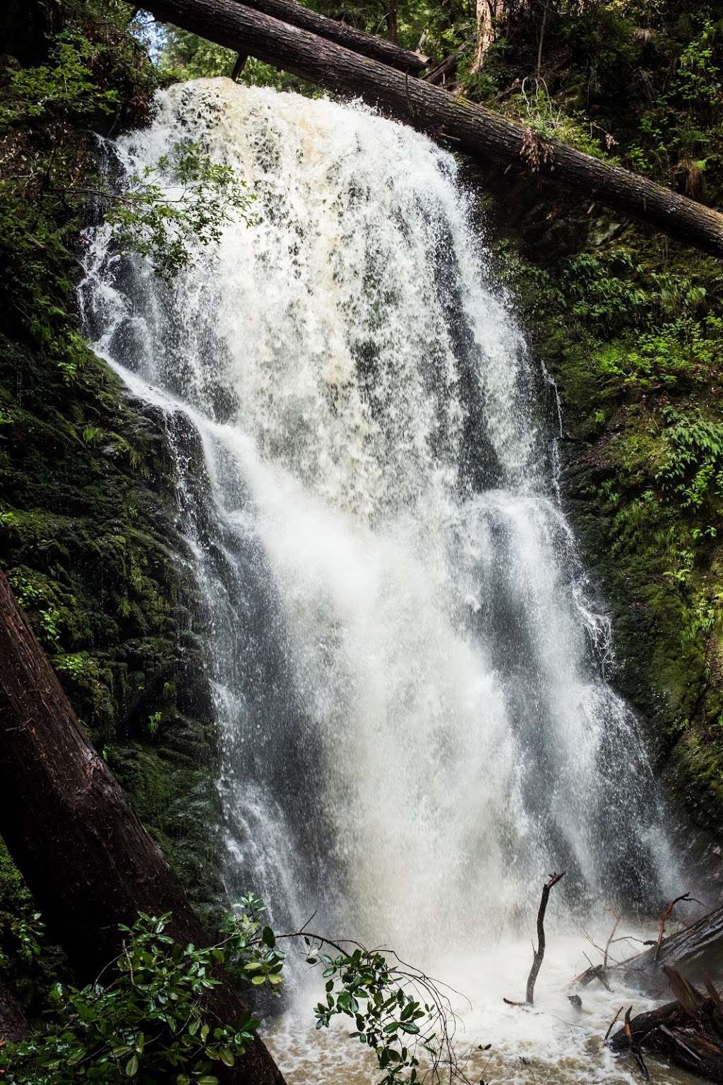 Big Basin Redwoods State Park Headquarters & Visitor Center | 21600 Big Basin Hwy, Boulder Creek, CA 95006, USA | Phone: (831) 338-8861