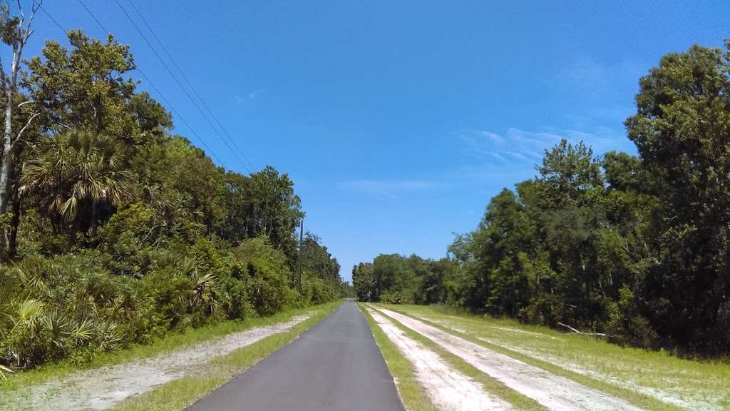 Scottsmoor Flatwoods Sanctuary East | 6000 Magoon Ave, Mims, FL 32754, USA