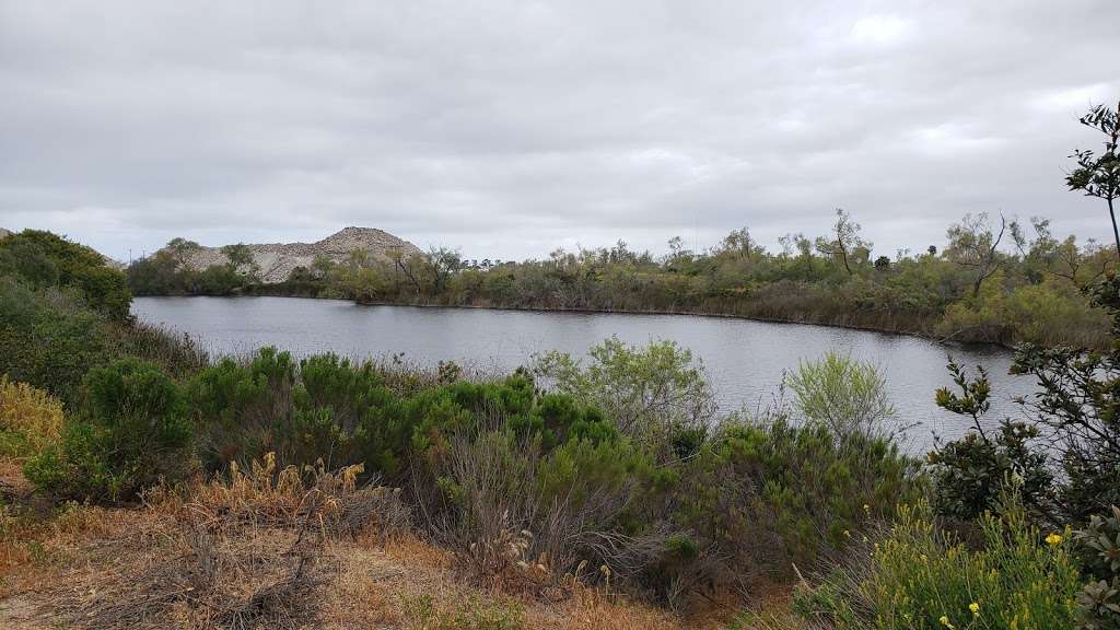Fenton Pond | San Diego, CA 92154, USA | Phone: (619) 424-0463