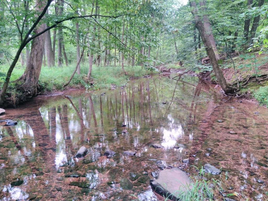 Griggstown Native Grassland Preserve | Princeton, NJ 08540, USA