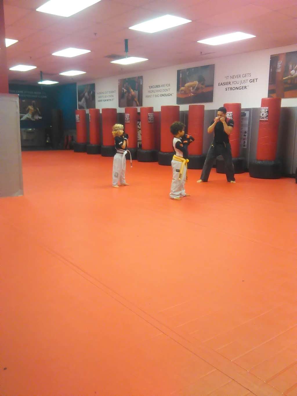 Tiger Schulmanns Martial Arts | 4654 Broadway, Allentown, PA 18104, USA | Phone: (610) 232-7964