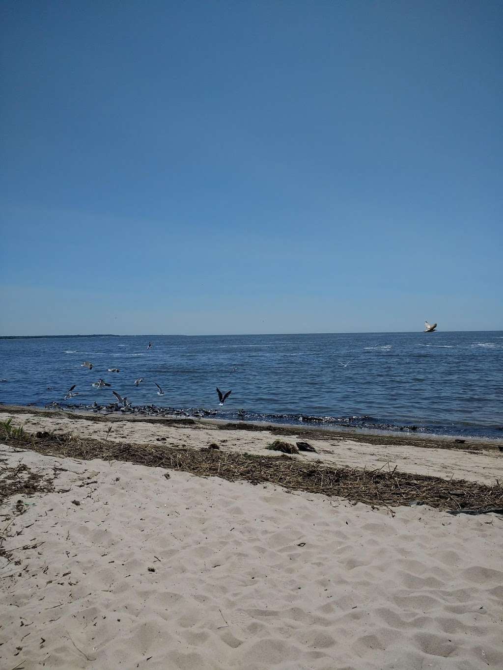 Reeds Beach Jetty | 125 N Beach Dr, Cape May Court House, NJ 08210, USA