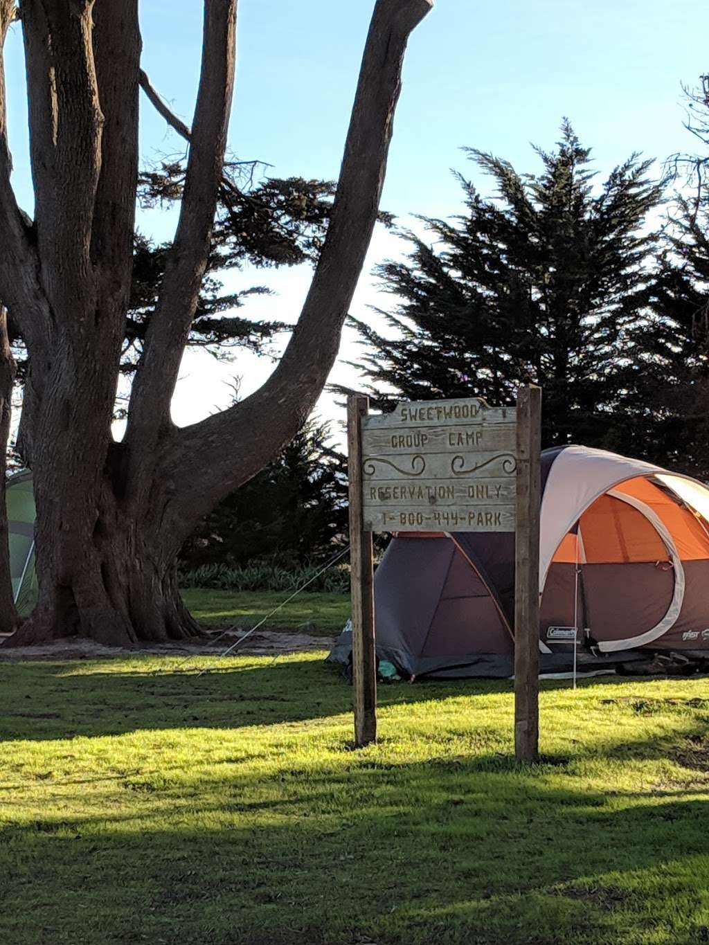 Sweetwood Camp | 2158 CA-1, Half Moon Bay, CA 94019, USA | Phone: (800) 444-7275