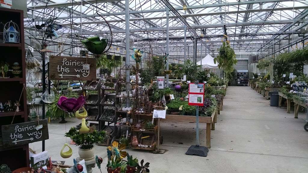 Lake Street Garden Center llc | 37 Lake St, Salem, NH 03079, USA | Phone: (603) 893-5858