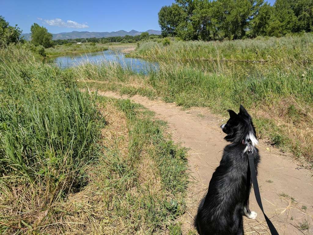 Northern Wildlife Area | Mary Carter Greenway Trail, Littleton, CO 80120, USA