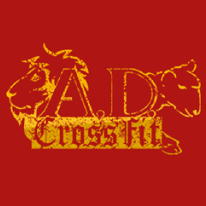 A.D. CrossFit | 14425 Huffmeister Rd, Cypress, TX 77429, USA | Phone: (281) 795-9359