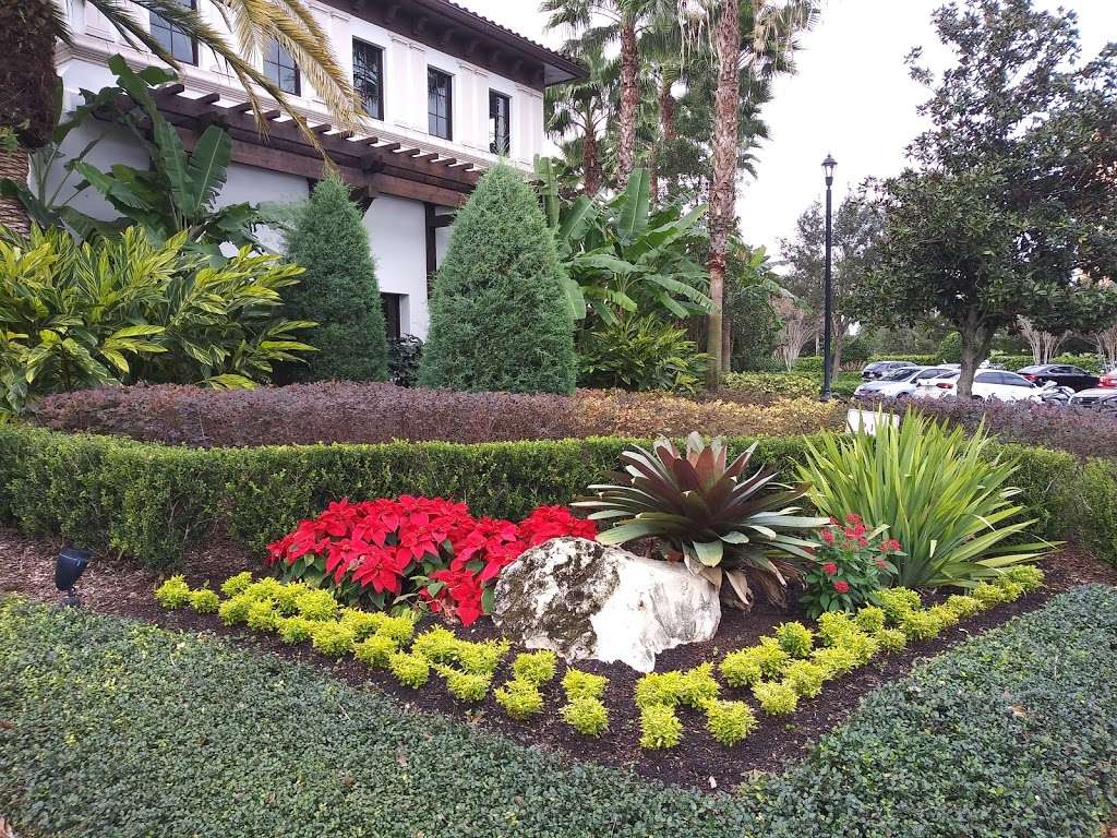 Colorful Landscaping | 1981 NW 169th Ave, Pembroke Pines, FL 33028, USA | Phone: (954) 226-2486