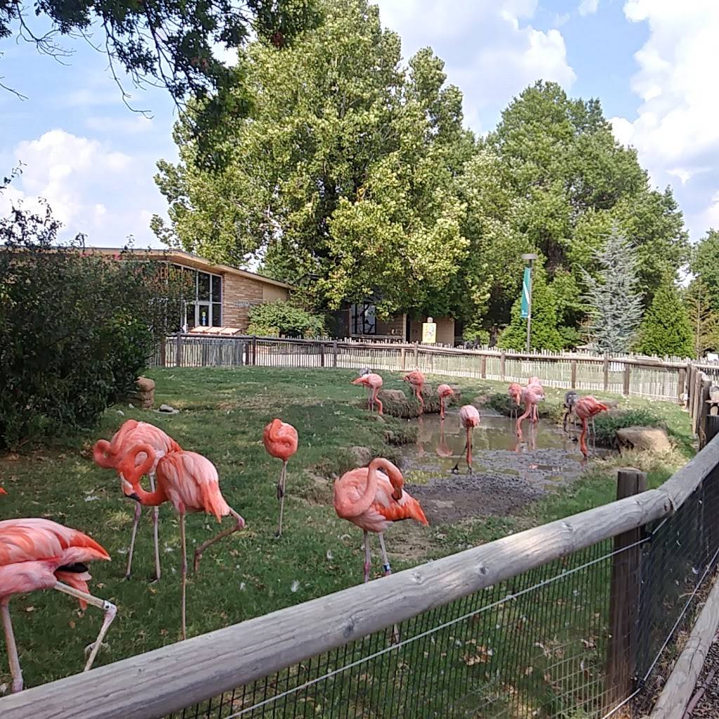 Tulsa Zoo Parking | 6421 E 36th St N, Tulsa, OK 74115, USA | Phone: (918) 669-6600