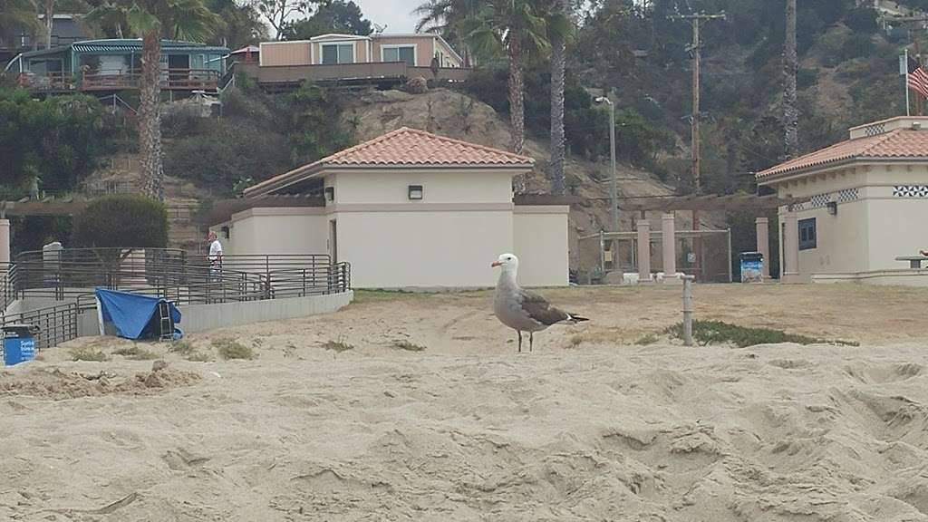 Will Rogers State Beach | 15176 Pacific Coast Hwy, Pacific Palisades, CA 90272, USA