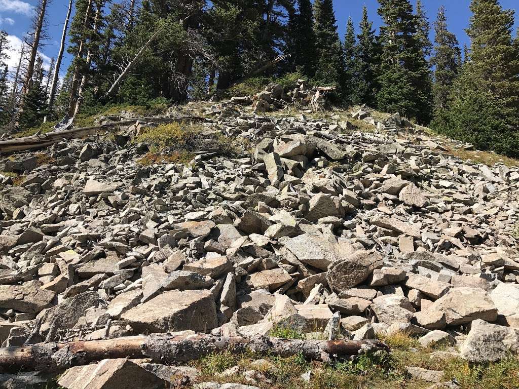 Isabelle Glacier Trail | Ward, CO 80481, USA