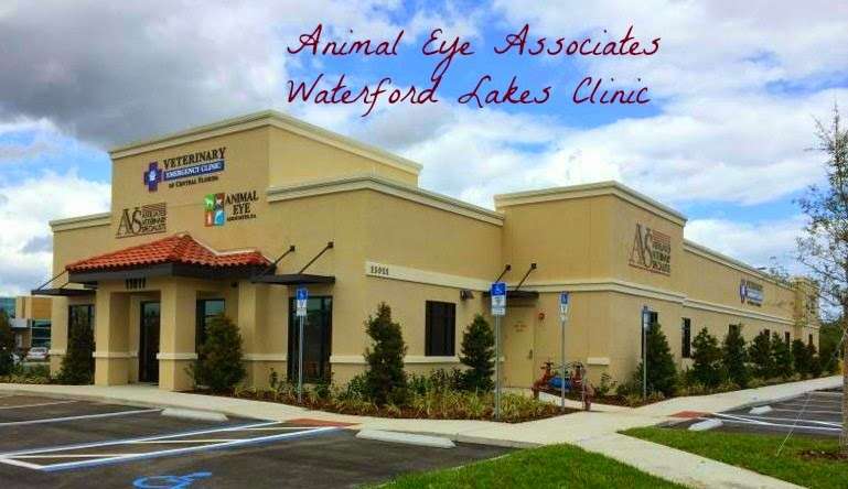 Animal Eye Associates | 11011 Lake Underhill Rd, Orlando, FL 32825, USA | Phone: (407) 629-0044