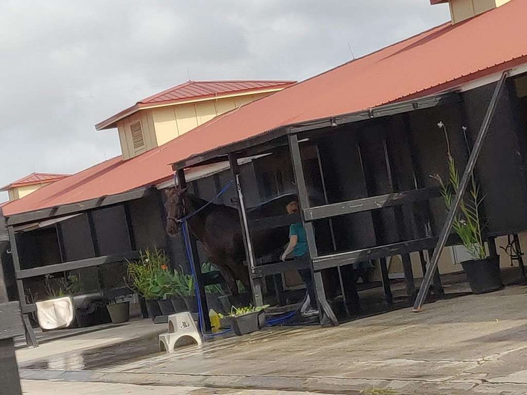 Palm Beach Equine Clinic | 13125 Southfields Rd, Wellington, FL 33414, USA | Phone: (561) 793-1599